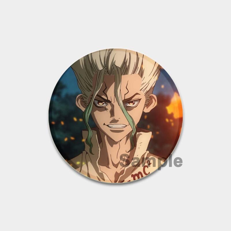 Dr. Stone Cute Enamel Pin Badges Manga Lapel Pins for Backpacks 58mm Round Anime Brooches on Clothes Jewelry Accessories Gifts